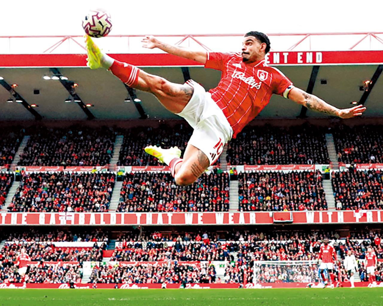 諾定咸森林 基比斯韋特