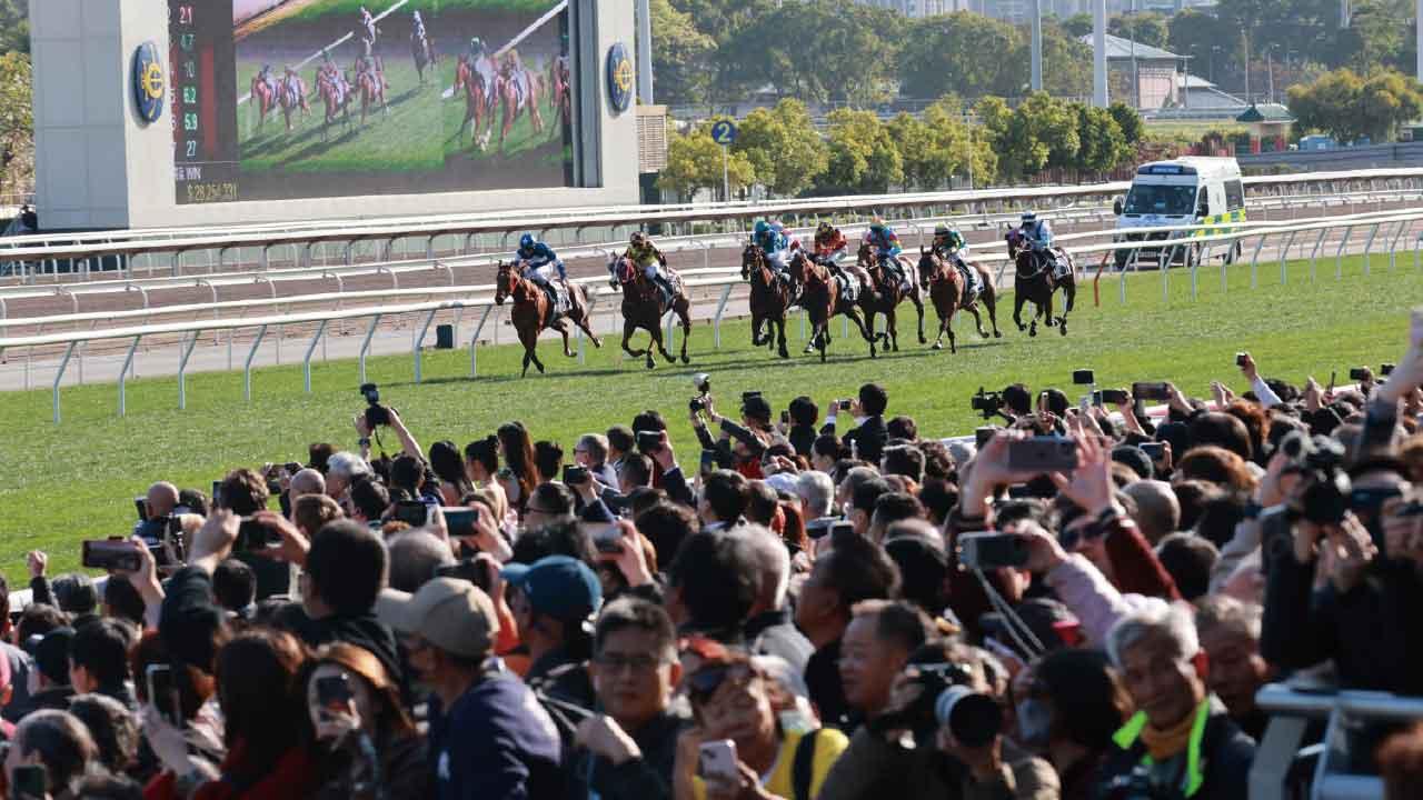 我對賽馬的「從獨研究法」