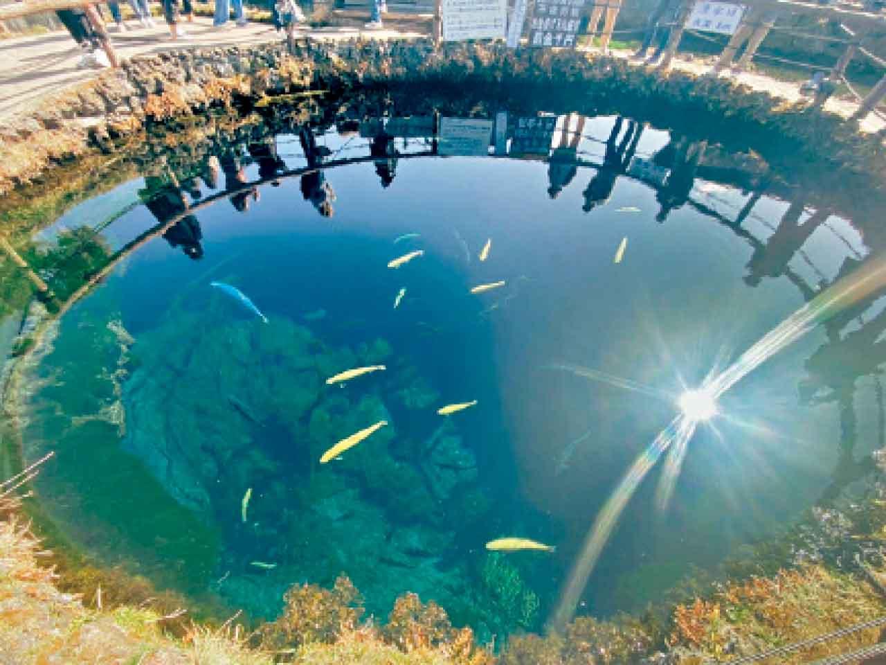 富士山下湧泉「忍野八海」