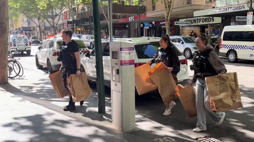 澳洲出現Labubu大盜 偷去43隻價值逾4.5萬