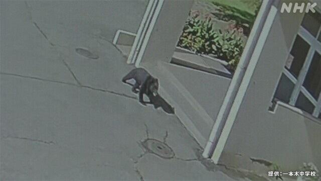 新西蘭跑手日本遭熊襲 僅一口便咬斷手臂