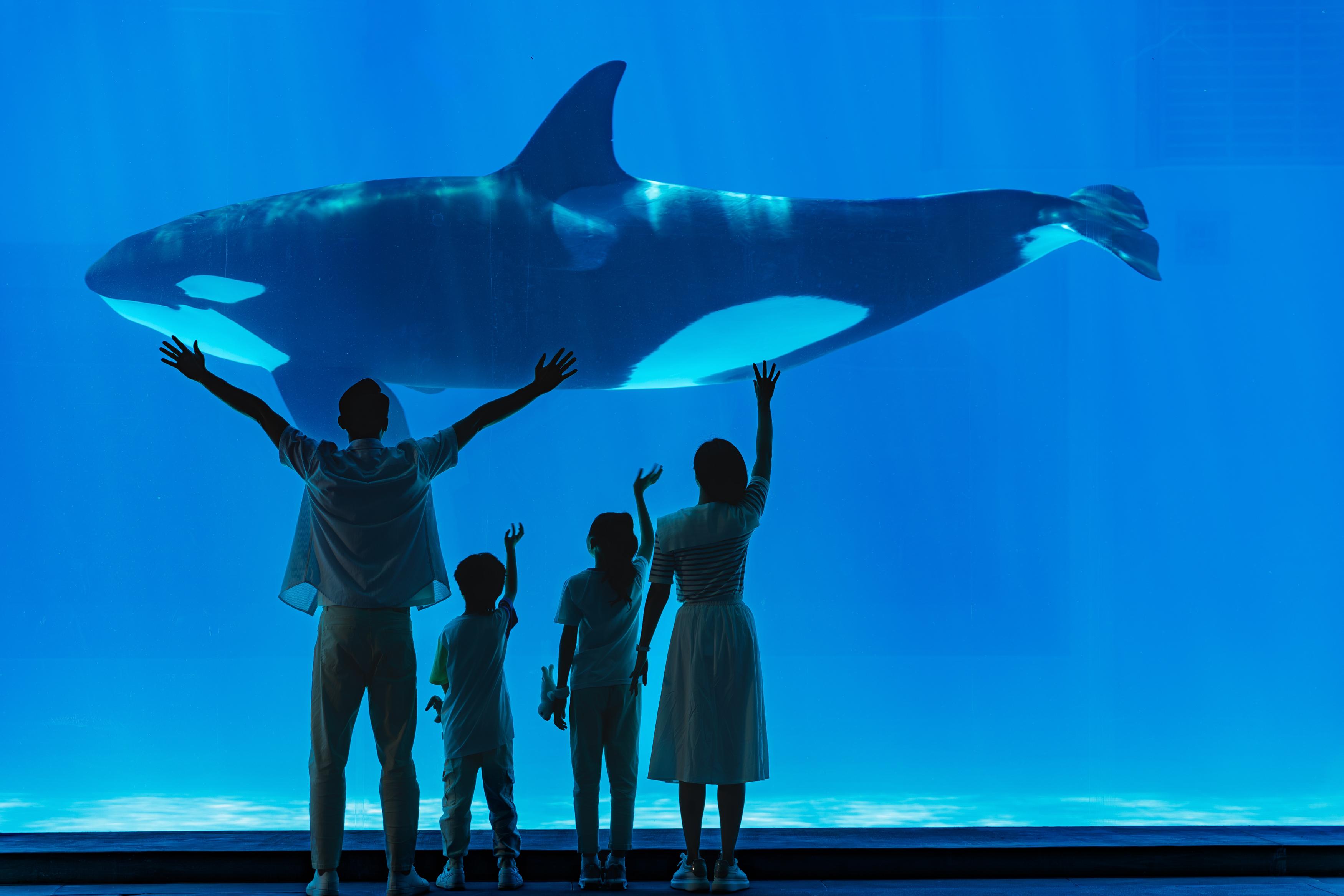 珠海好去處|珠海長隆飛船樂園(圖片來源:Trip.com)