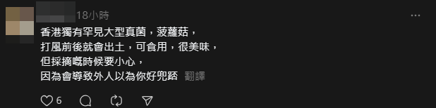 「菠蘿包」引起網民熱議,發揮創意「解答」事主。(Threads)