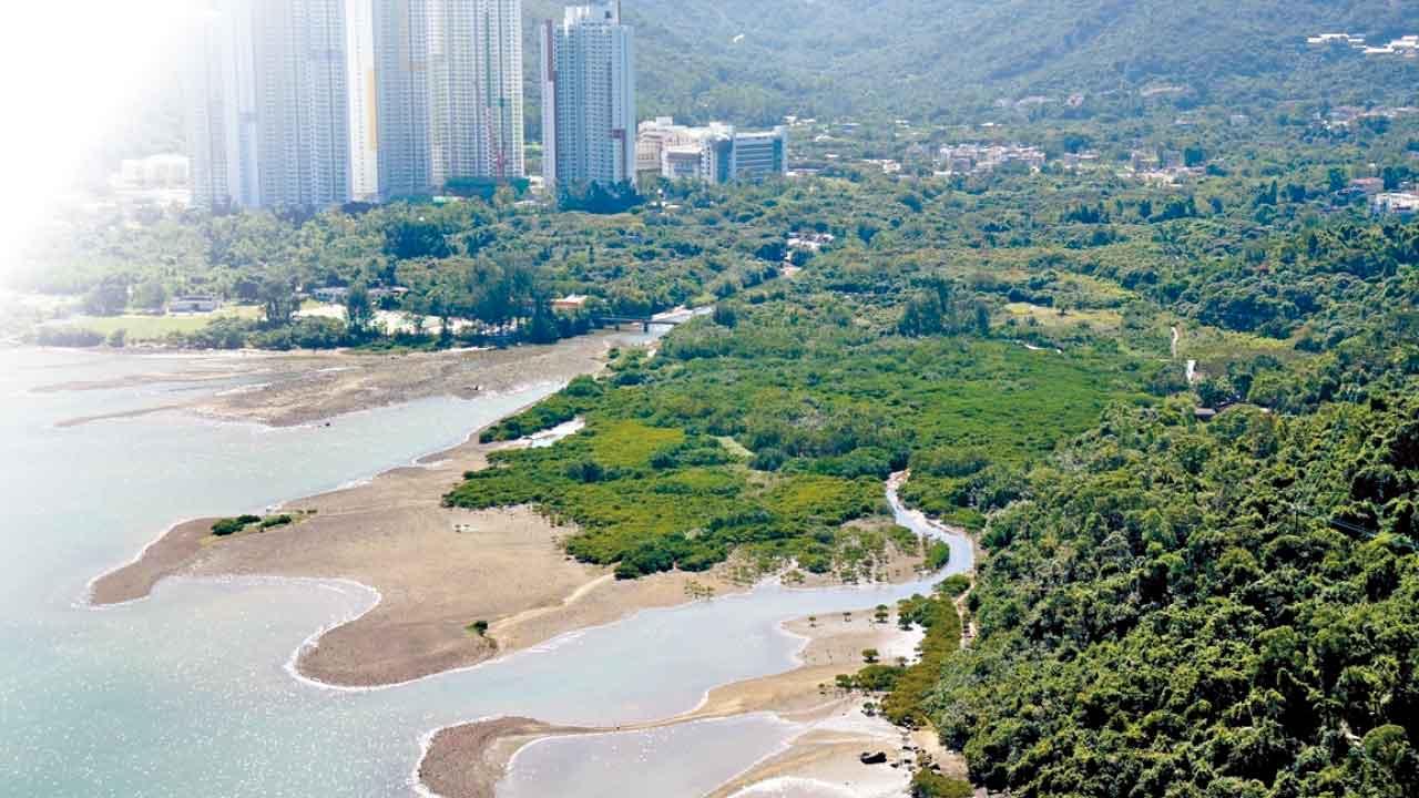 東涌河河口 (綠色力量圖片)