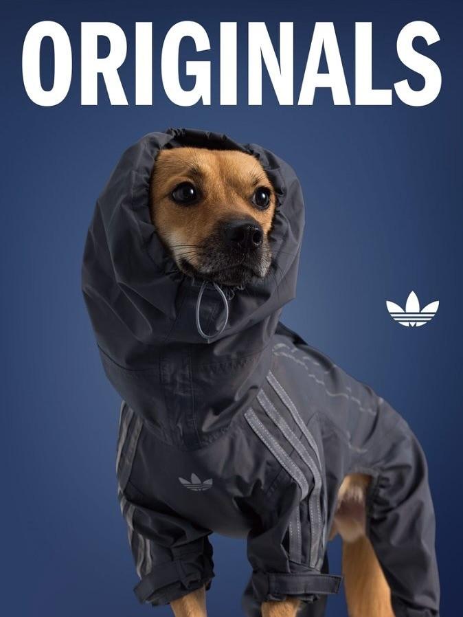 adidas Originals寵物風褸