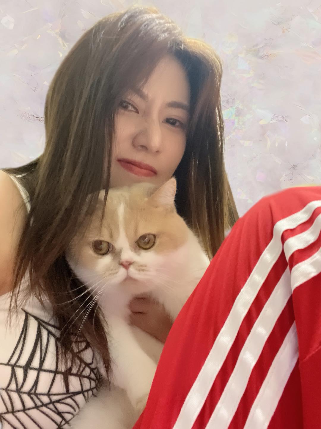 日本藝人阿部瑪利亞為AKB48及AKB48 Team TP前成員,在台灣發展多年。