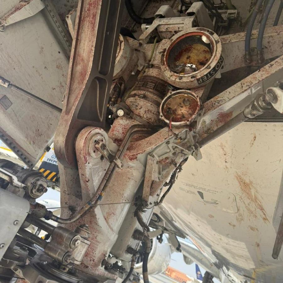 沙特航空客機起飛撞候鳥 乘客目擊血濺機身(有片)