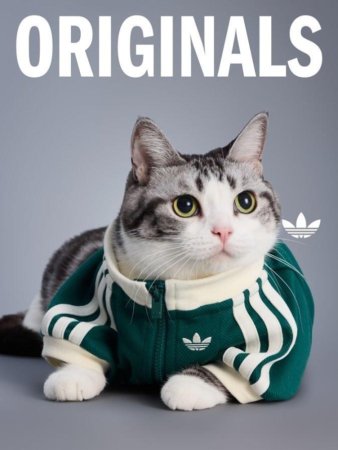 adidas Originals新推2025秋冬寵物系列,包括4色復古運動外套。