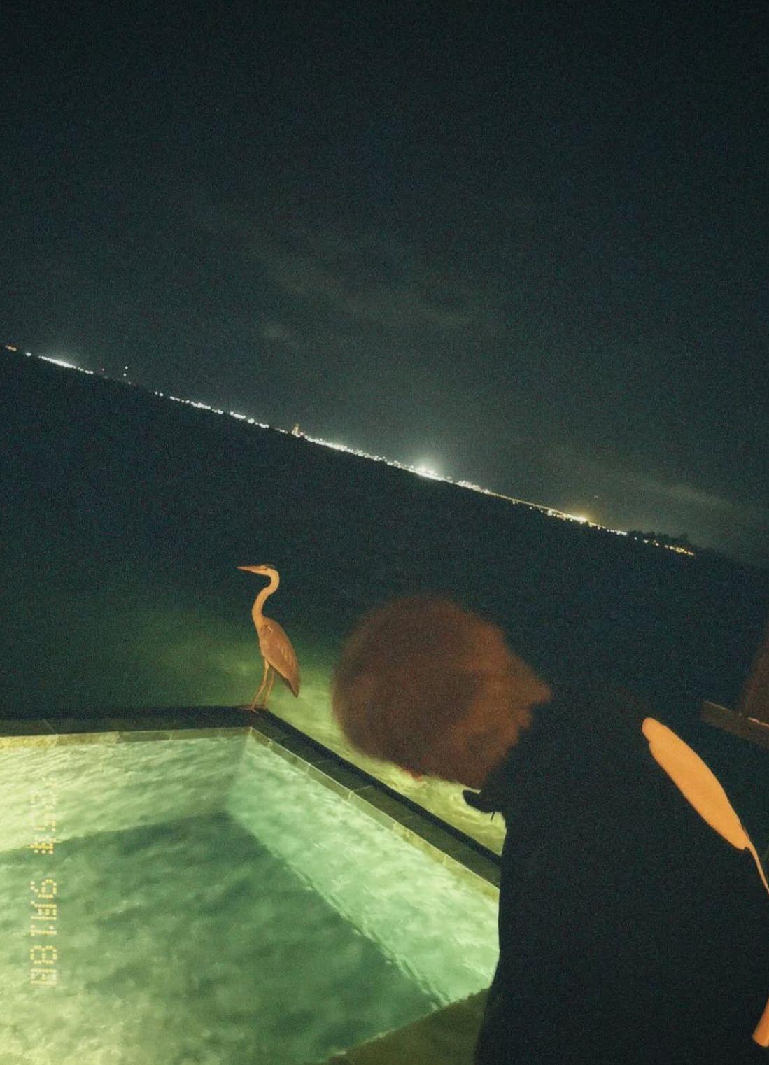 姜濤心情大好。