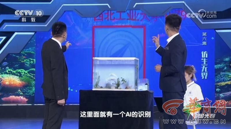 「水下幽靈」仿生機械人設AI處理晶片。