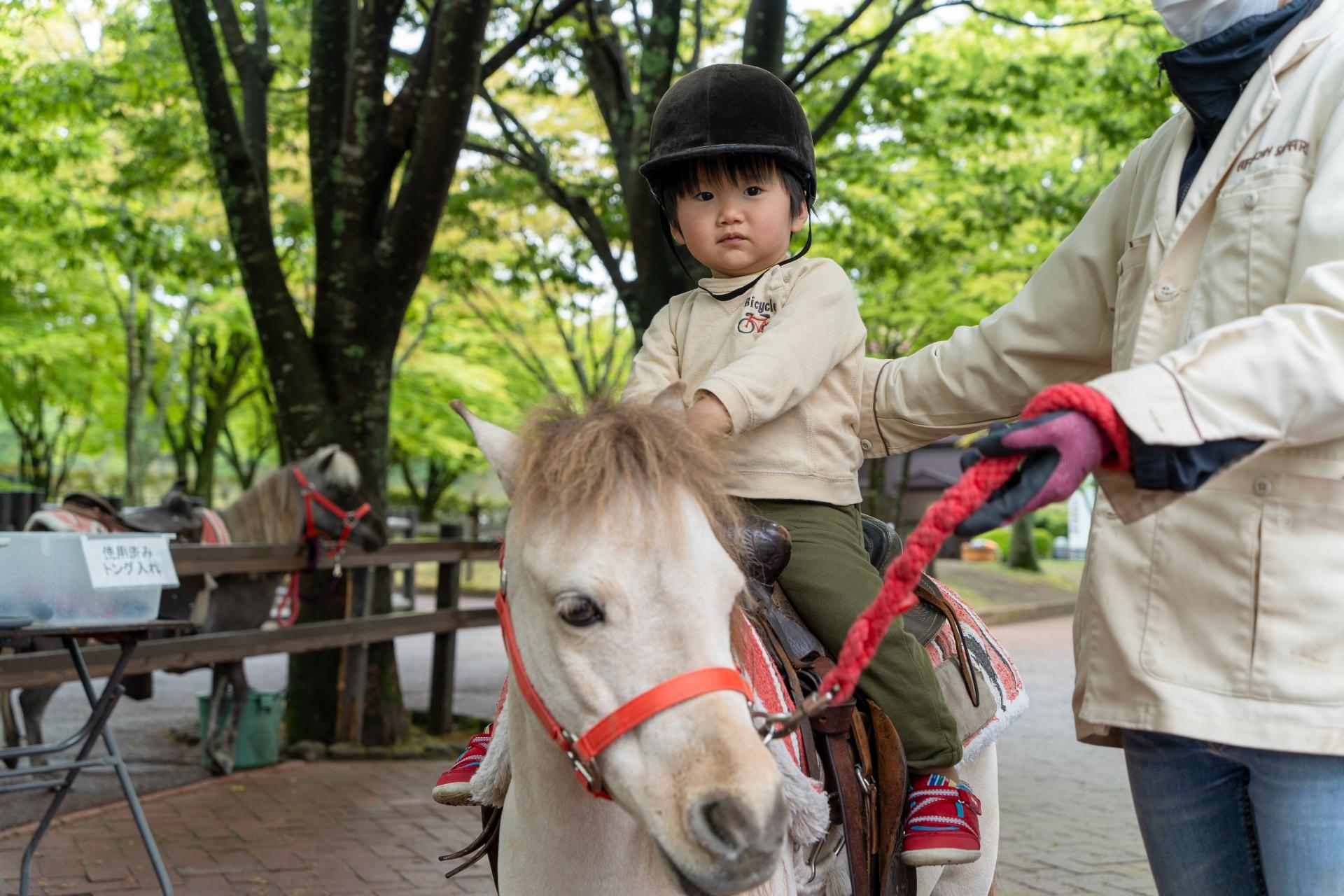 小朋友可體驗騎馬樂趣。(網絡圖片)