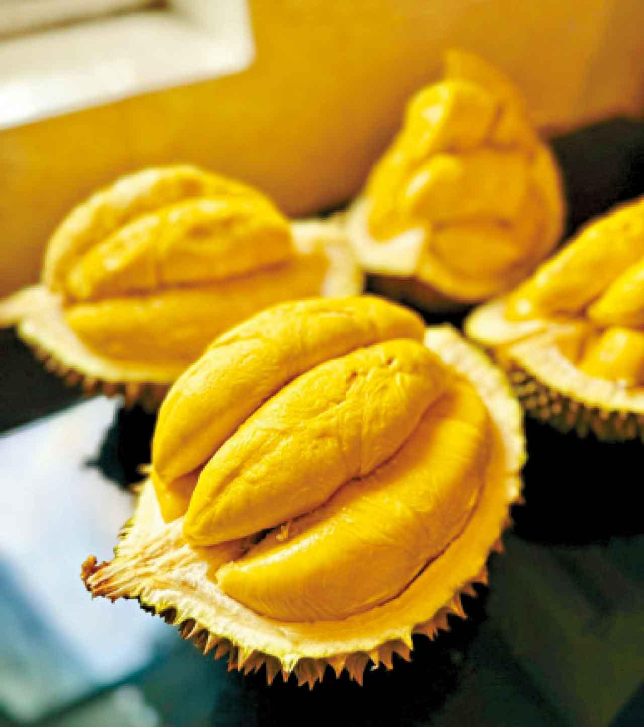 【登上雲端體驗】馬來西亞5天團