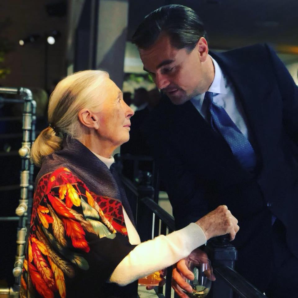 里安納度有在社交平台,發文悼念Jane。