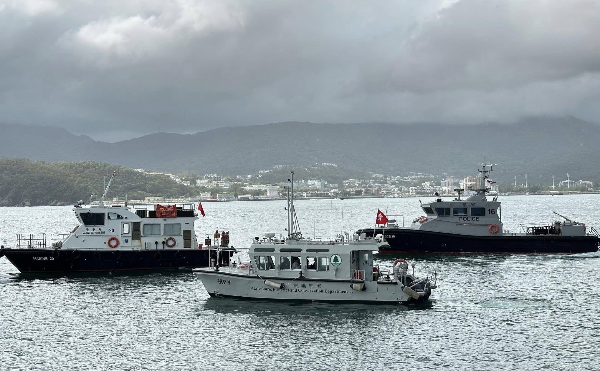 郊野公園遊客量增加 政府加強管理、巡查、清潔服務(@FB環境及生態局 EEB圖片)