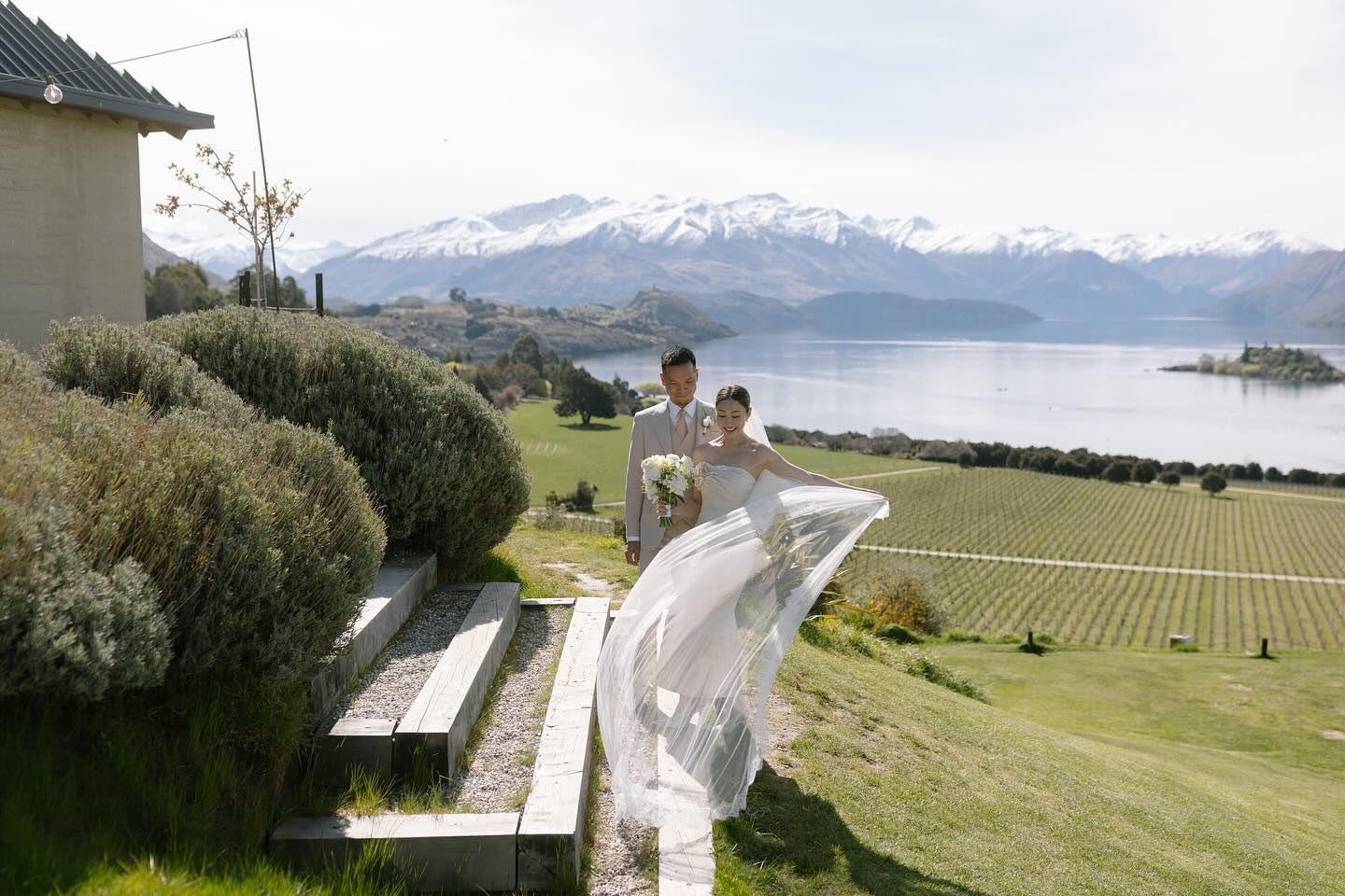 胡定欣與陳健華醫生結婚。
