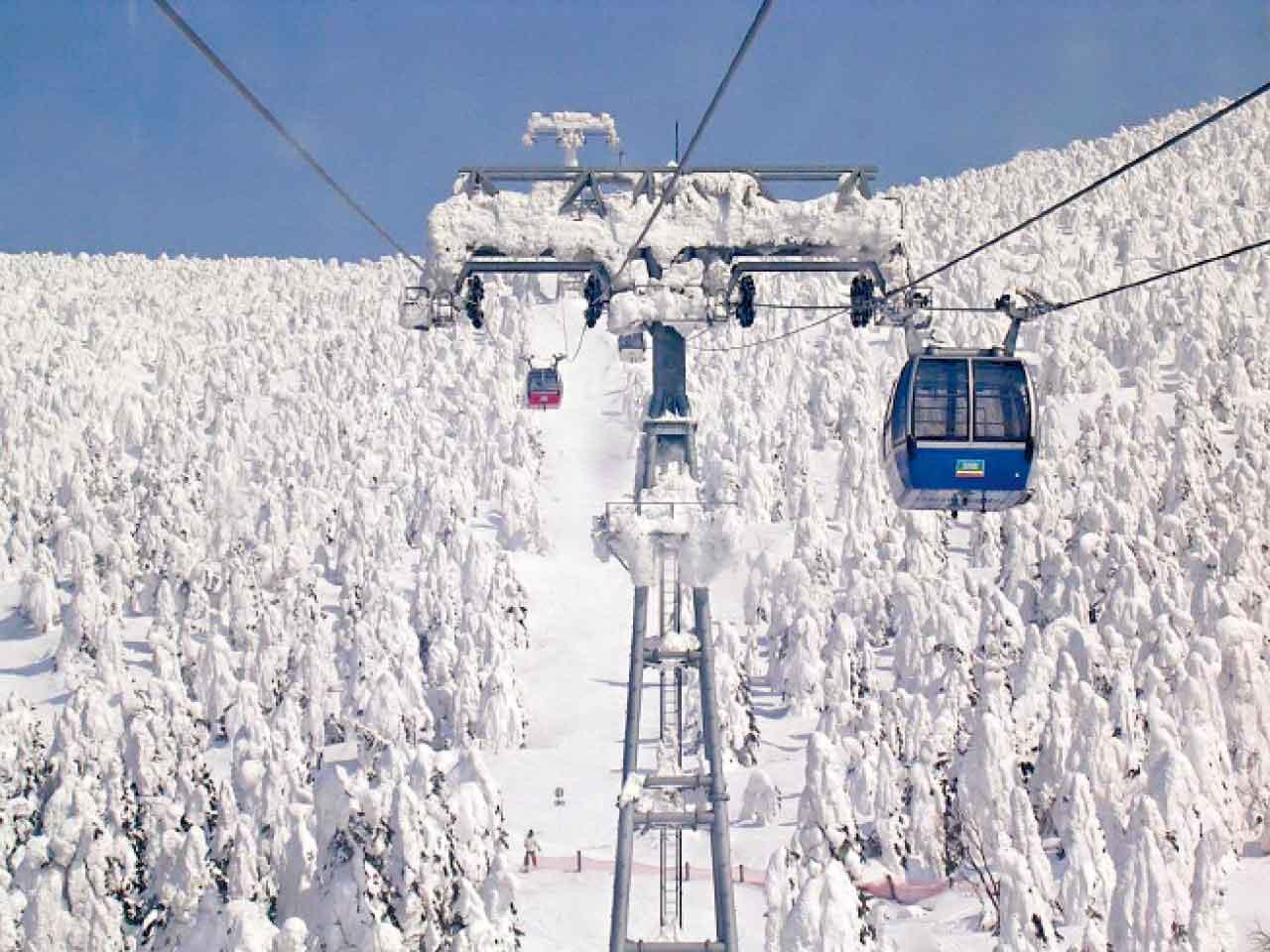 藏王樹冰天然奇觀