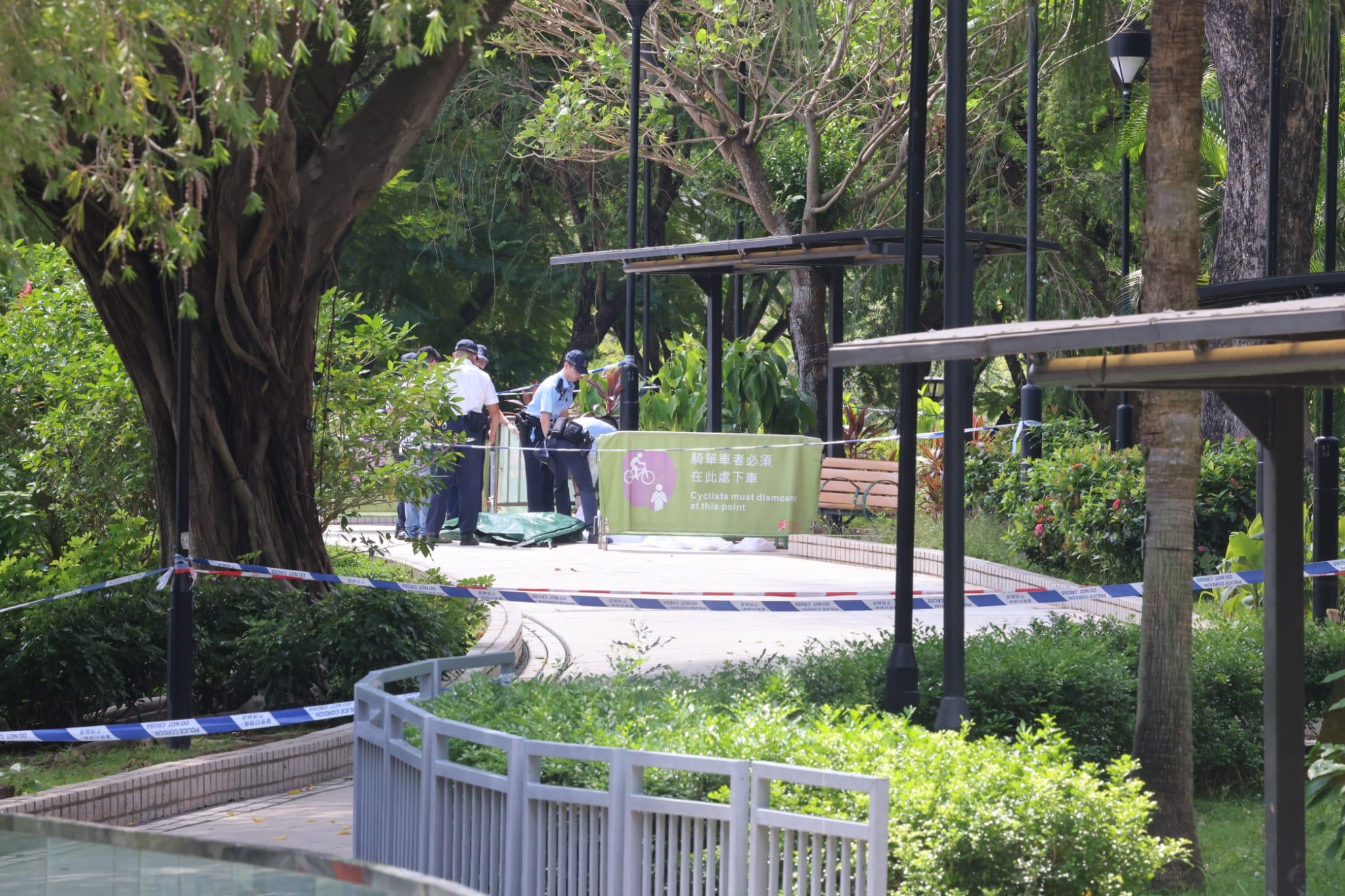 天水圍公園發現浴血女屍,頸部有傷,警檢利刀及𠝹刀。