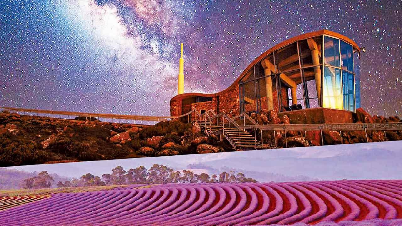 飄絲薰衣草莊園