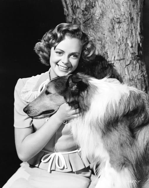 June Lockhart當年有份演出劇集《神犬拉西》。