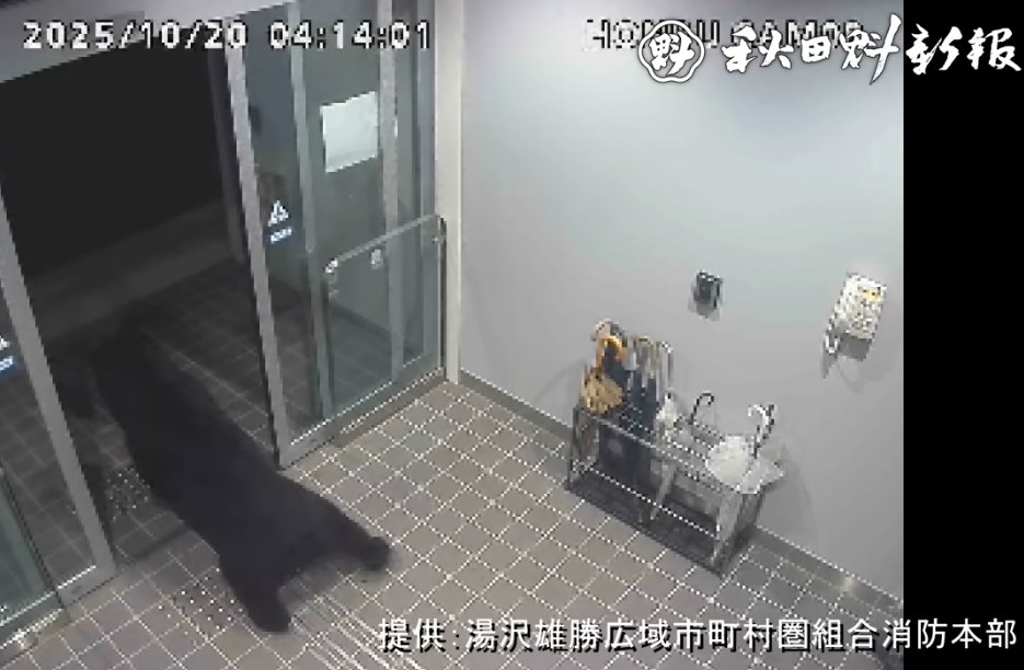 日本旅遊|秋田縣黑熊闖市區4人傷 闖入商廈躲進住宅逾24小時(有片)