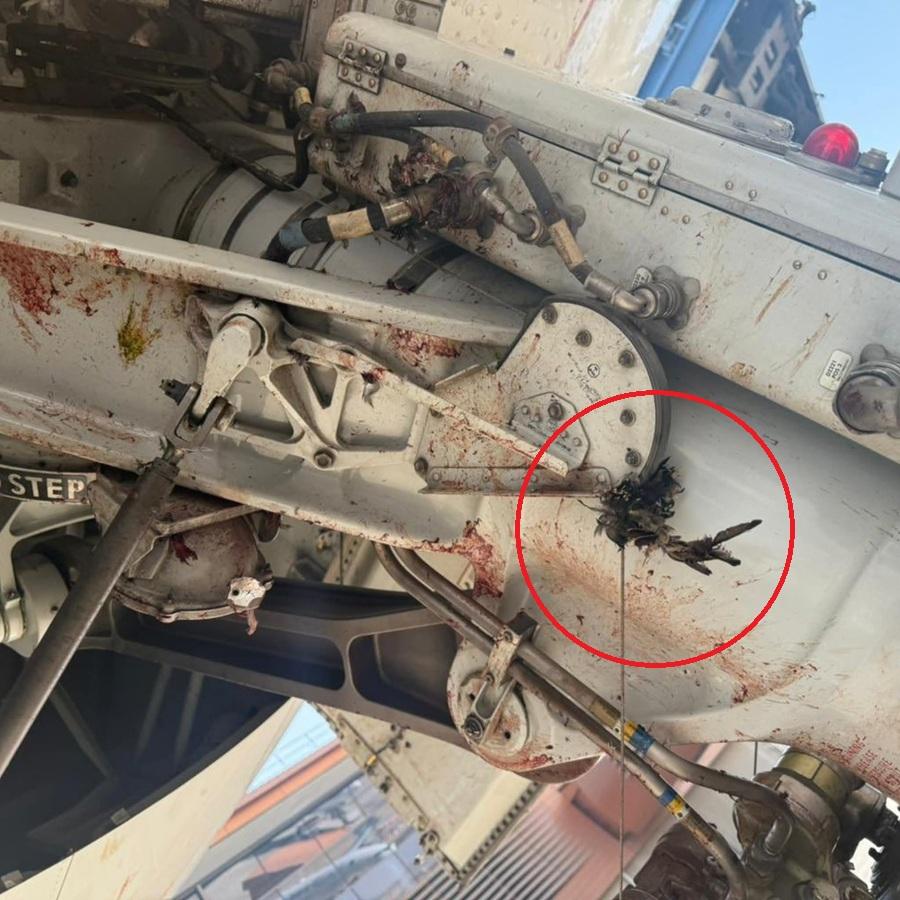 沙特航空客機起飛撞候鳥 乘客目擊血濺機身(有片)