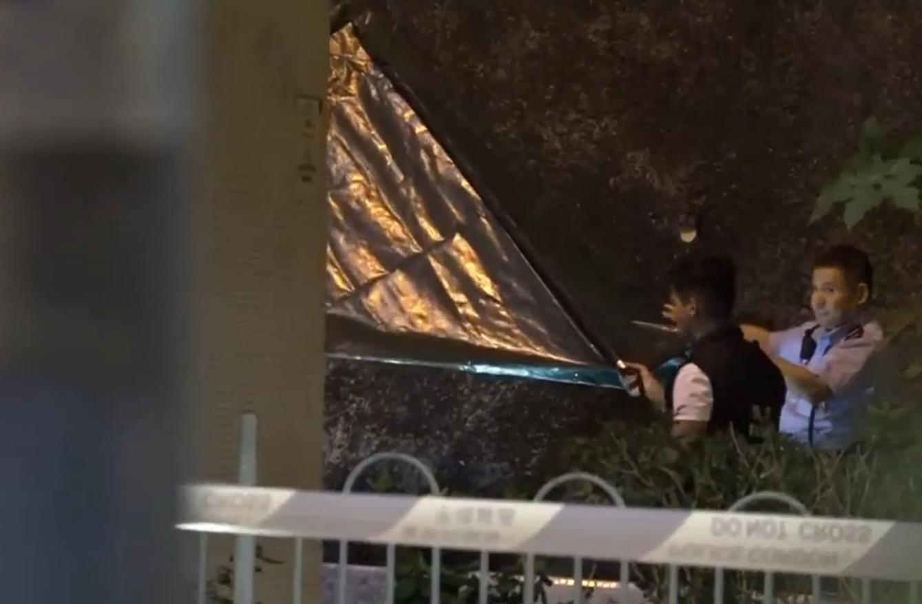 珍惜生命|青衣82歲老翁疑殺56歲女友後墮樓亡 警列謀殺及自殺案。(now新聞截圖)