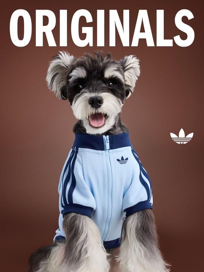 adidas Originals新推2025秋冬寵物系列,包括4色復古運動外套。