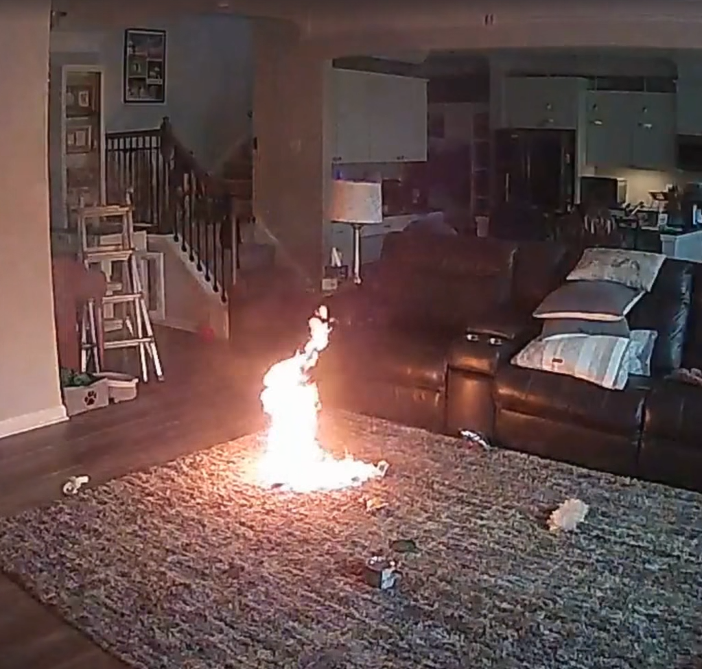 主人不在家狗咬鋰電池突冒煙,瞬間爆炸起火。(互聯網)