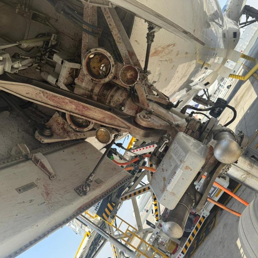 沙特航空客機起飛撞候鳥 乘客目擊血濺機身(有片)