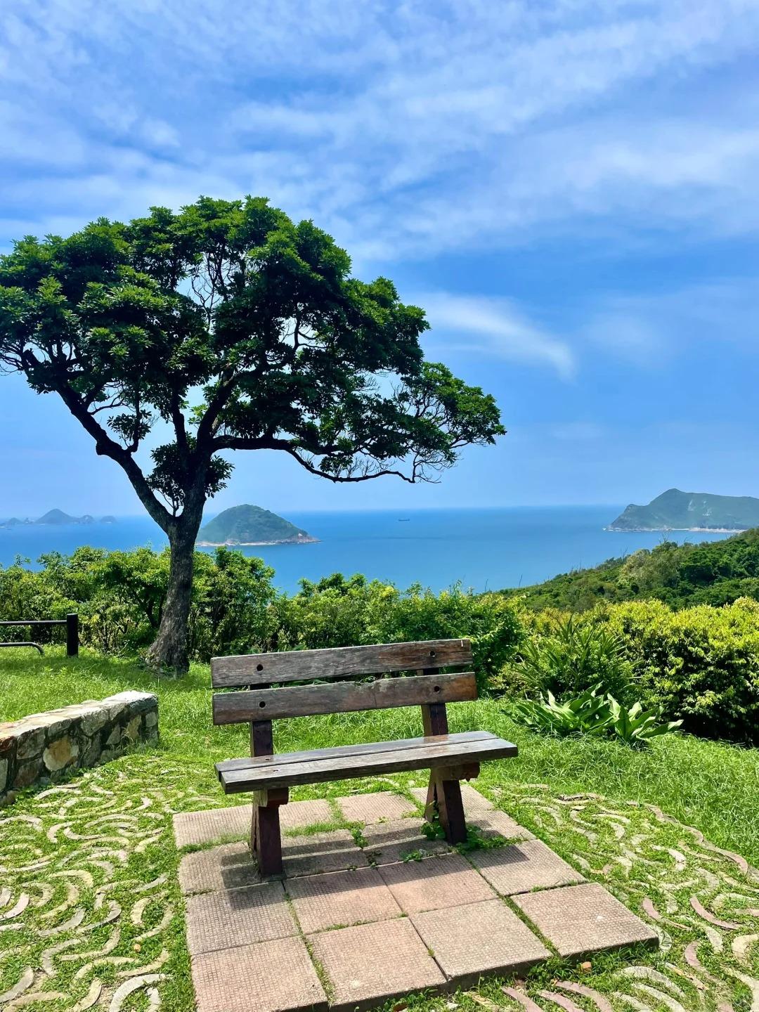 行山好去處|龍蝦灣郊遊徑(圖片來源:小紅書@Terry-冯)