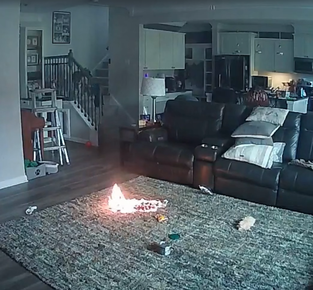 主人不在家狗咬鋰電池突冒煙,瞬間爆炸起火。(互聯網)