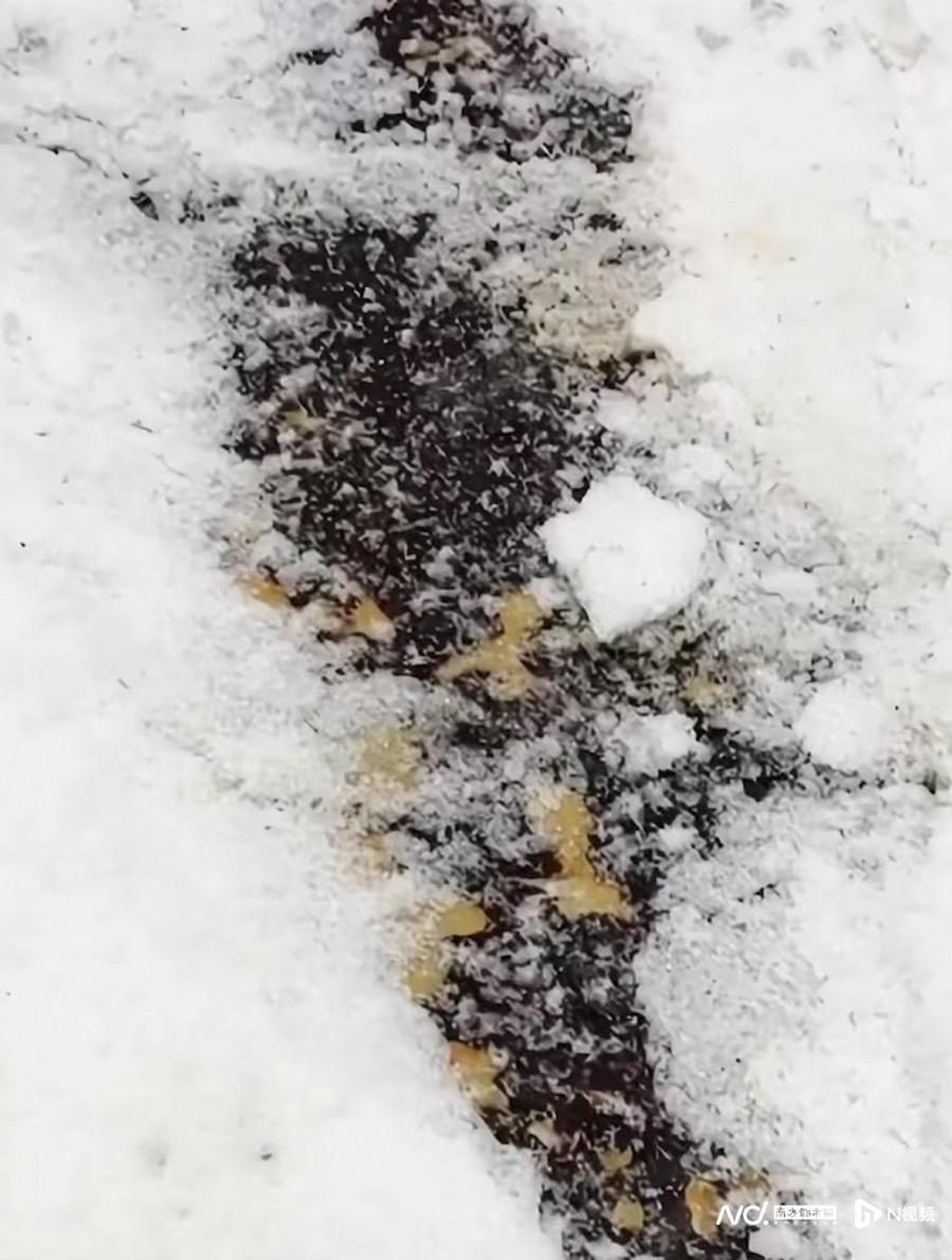 深圳華發冰雪世界被質疑雪不夠厚 居港男遭卡板縫12針|北上注意