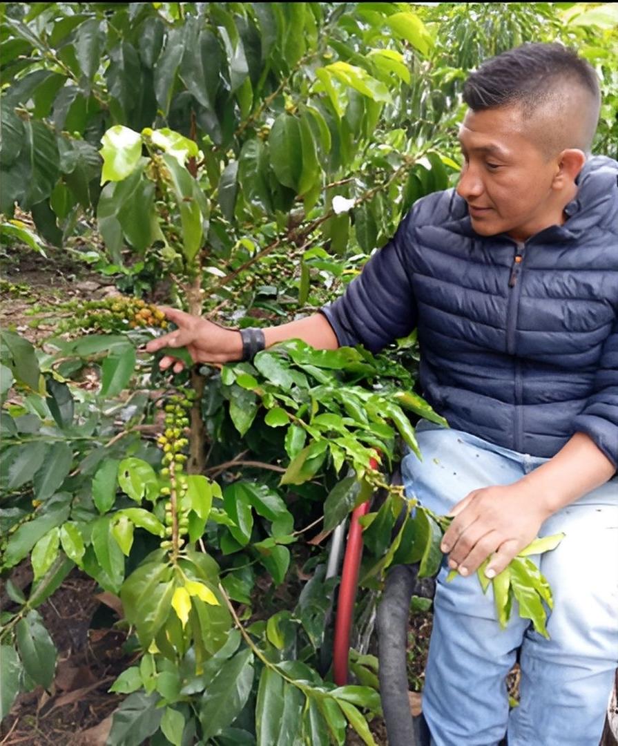 哥倫比亞考卡省的ASODINZA協會,該協會成立於2000年,旨在幫助殘疾人士發展咖啡種植計劃。