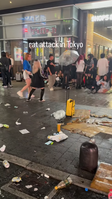 東京新宿街頭遭老鼠咬 女遊客腳背大量流血(有片)|日本旅遊