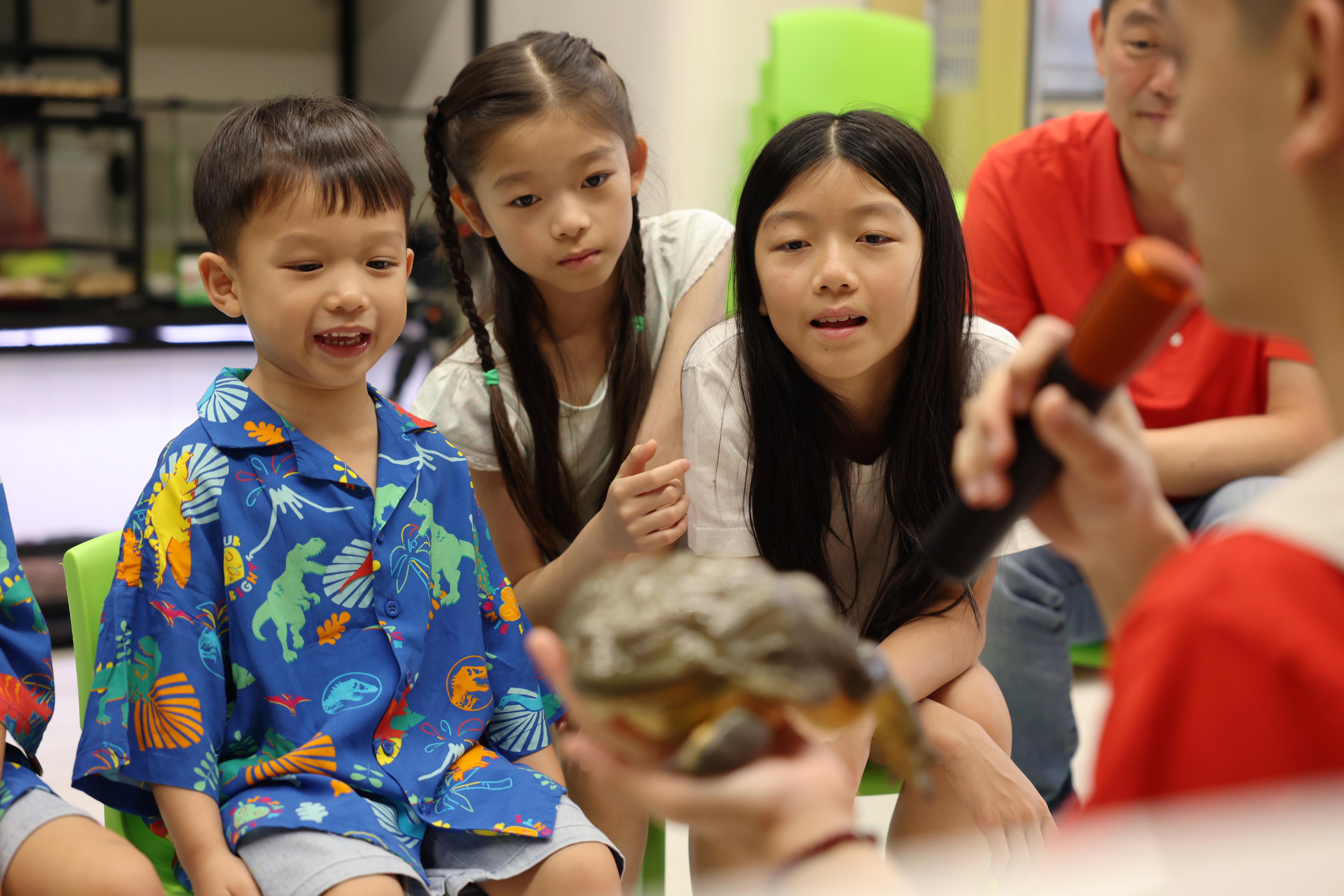 駐店園⻑和專業導師會詳細講解每隻動物的習性與故事。