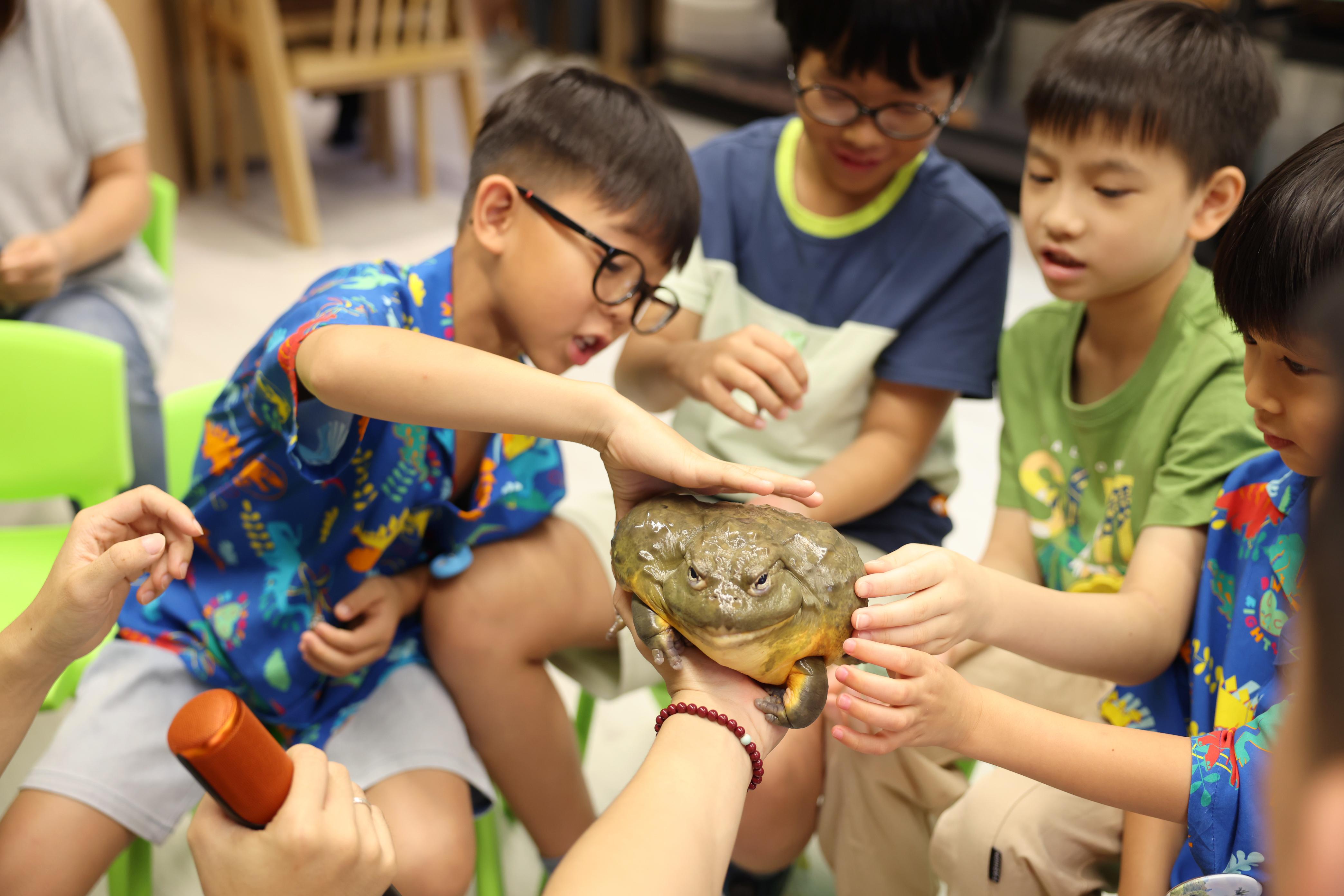 小朋友在專⼈指導下親近多種⼩動物,從互動中學習⽣態知識與飼養技巧。