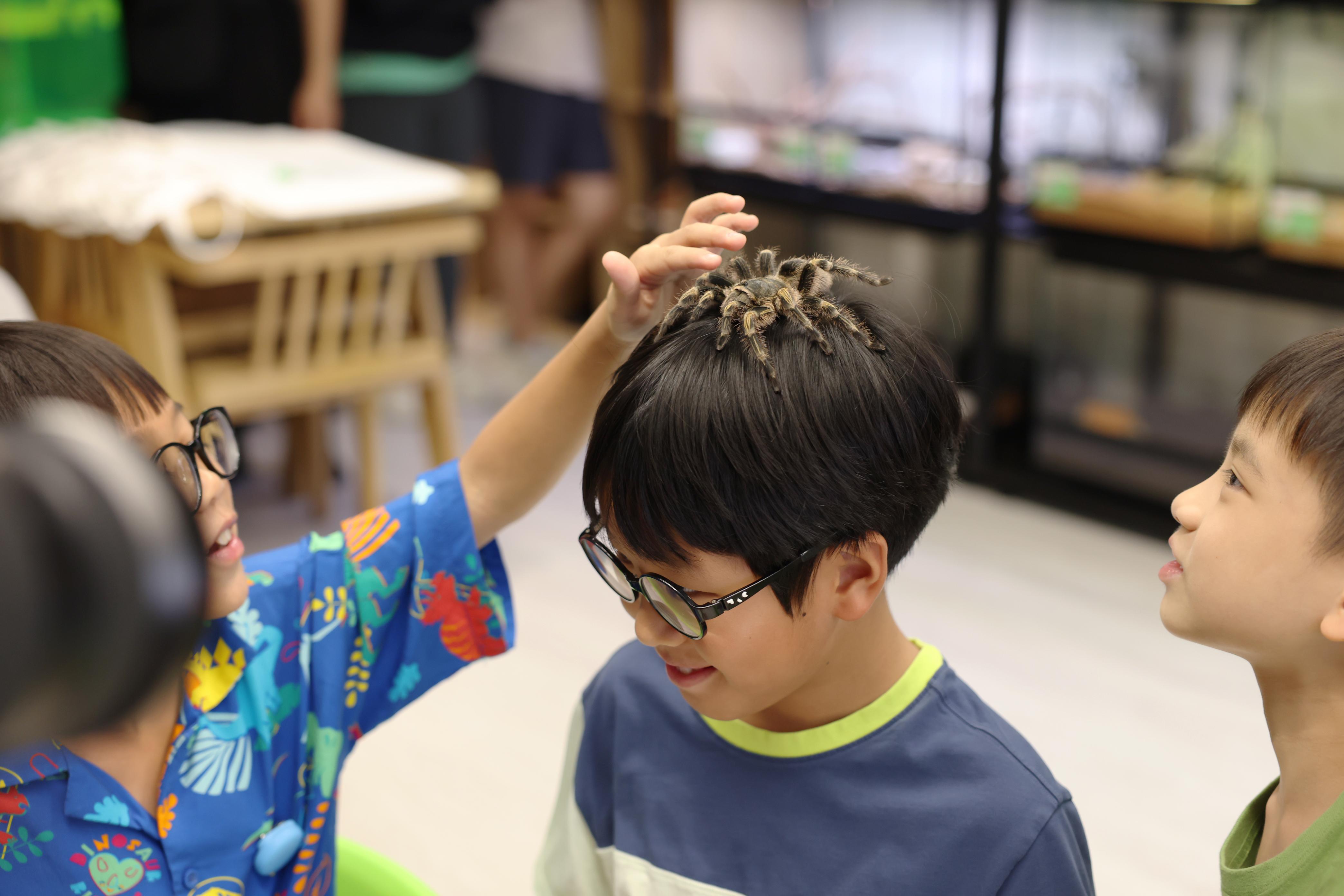 零距離接觸動物。