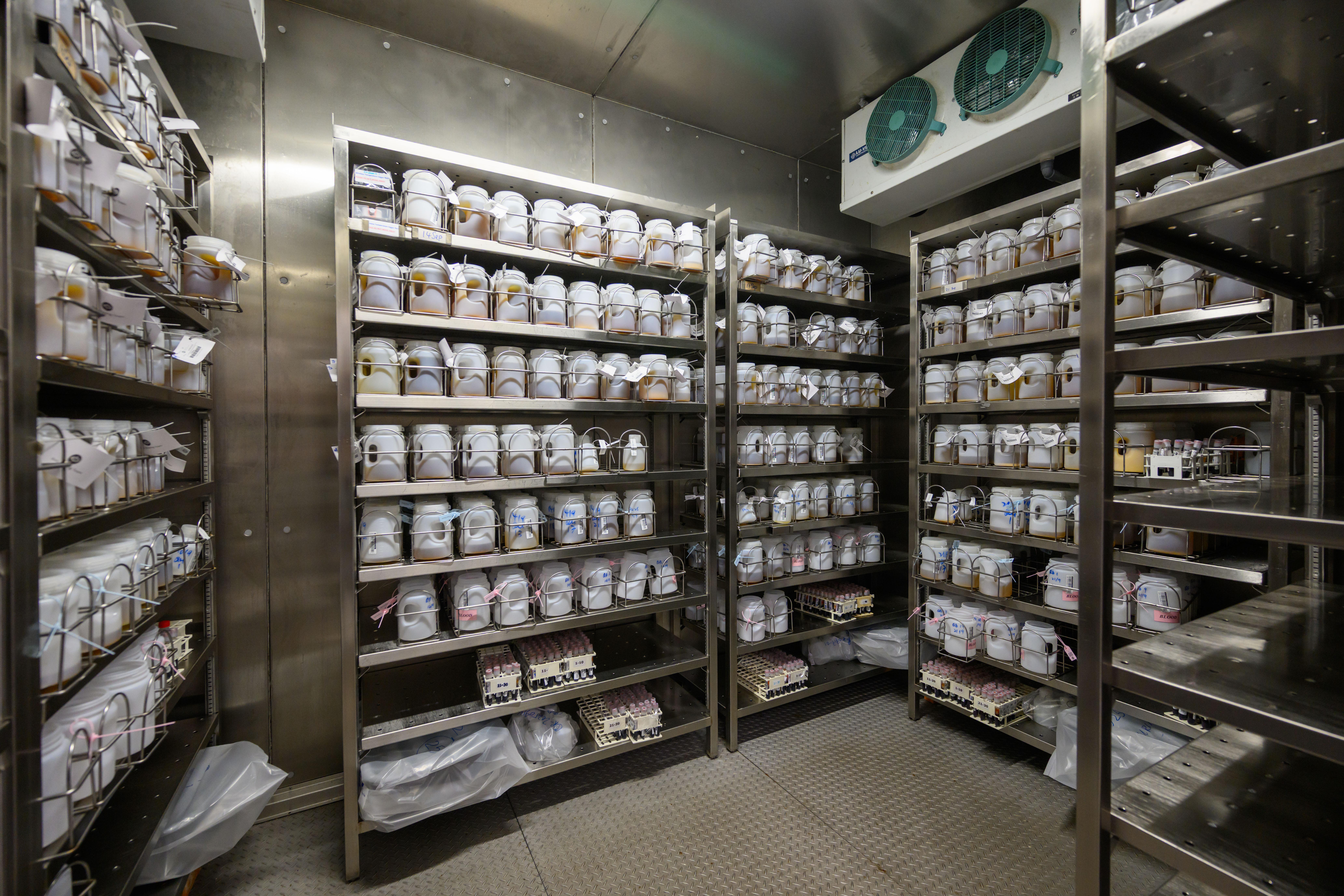 儲存血液和尿液樣本的冷藏庫。(賽馬會提供)