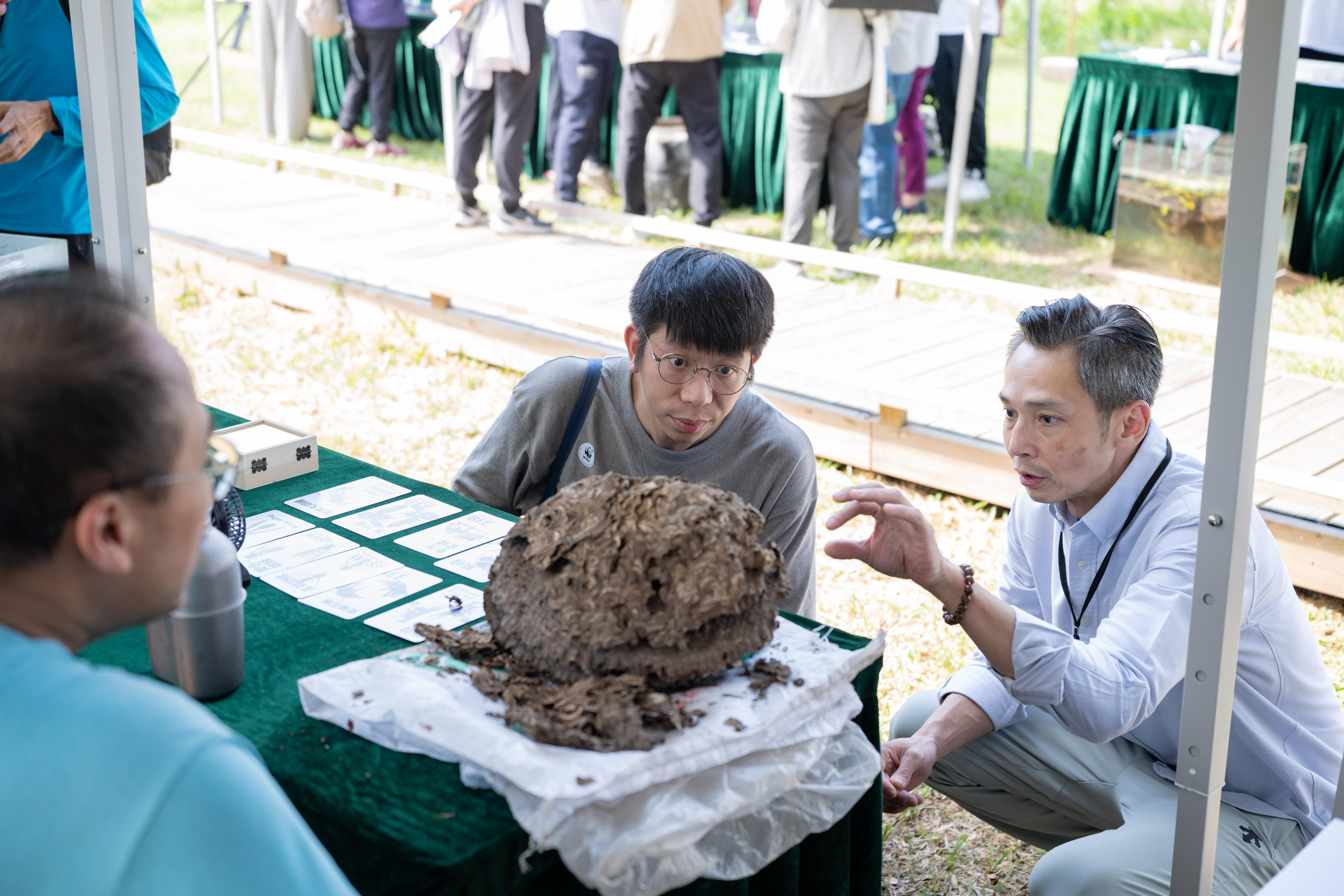 蜜蜂巢箱全接觸