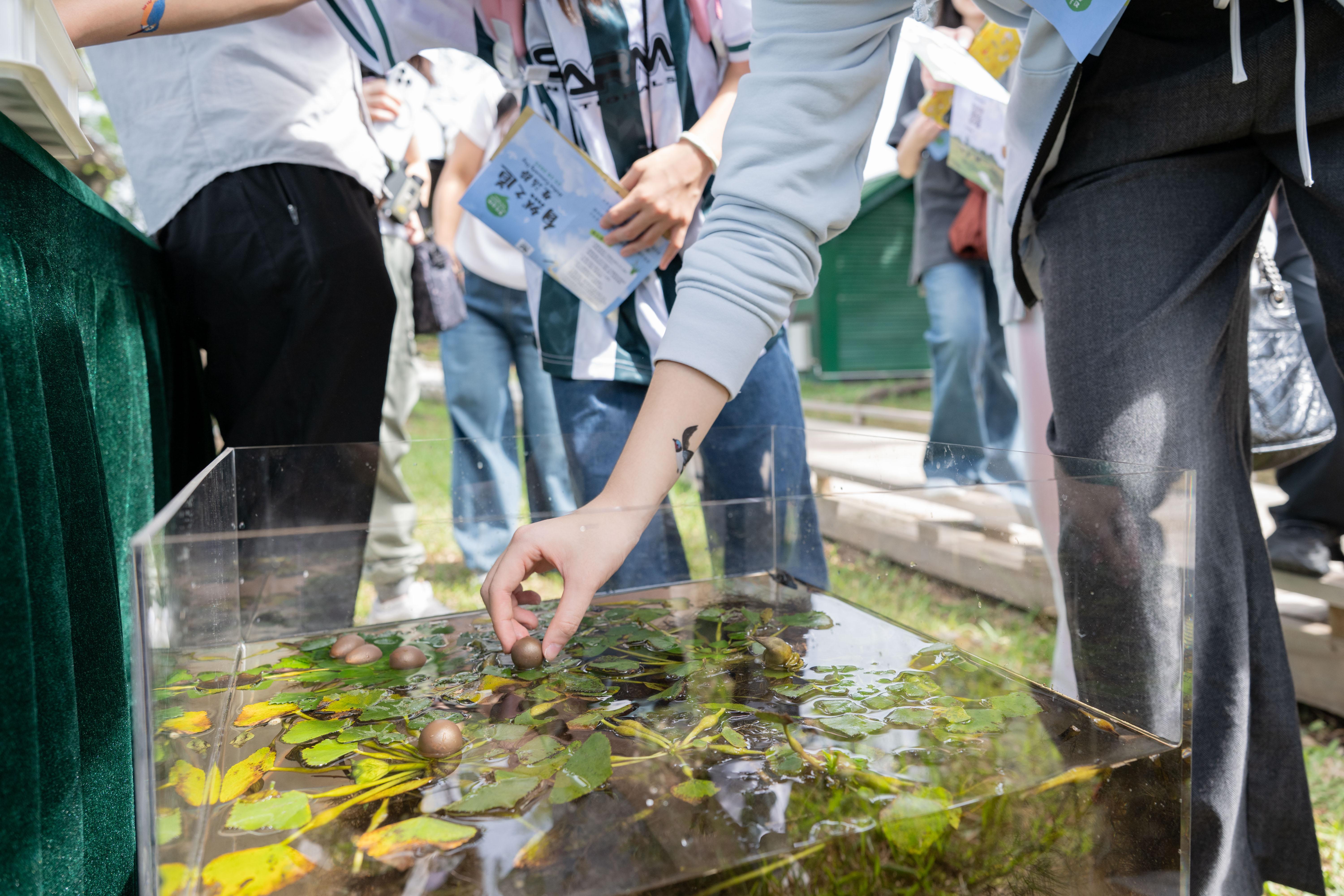 活動以「智在自然」為主題,邀請公眾走進大自然,透過多項互動體驗探索濕地的豐富生態及大自然的智慧。