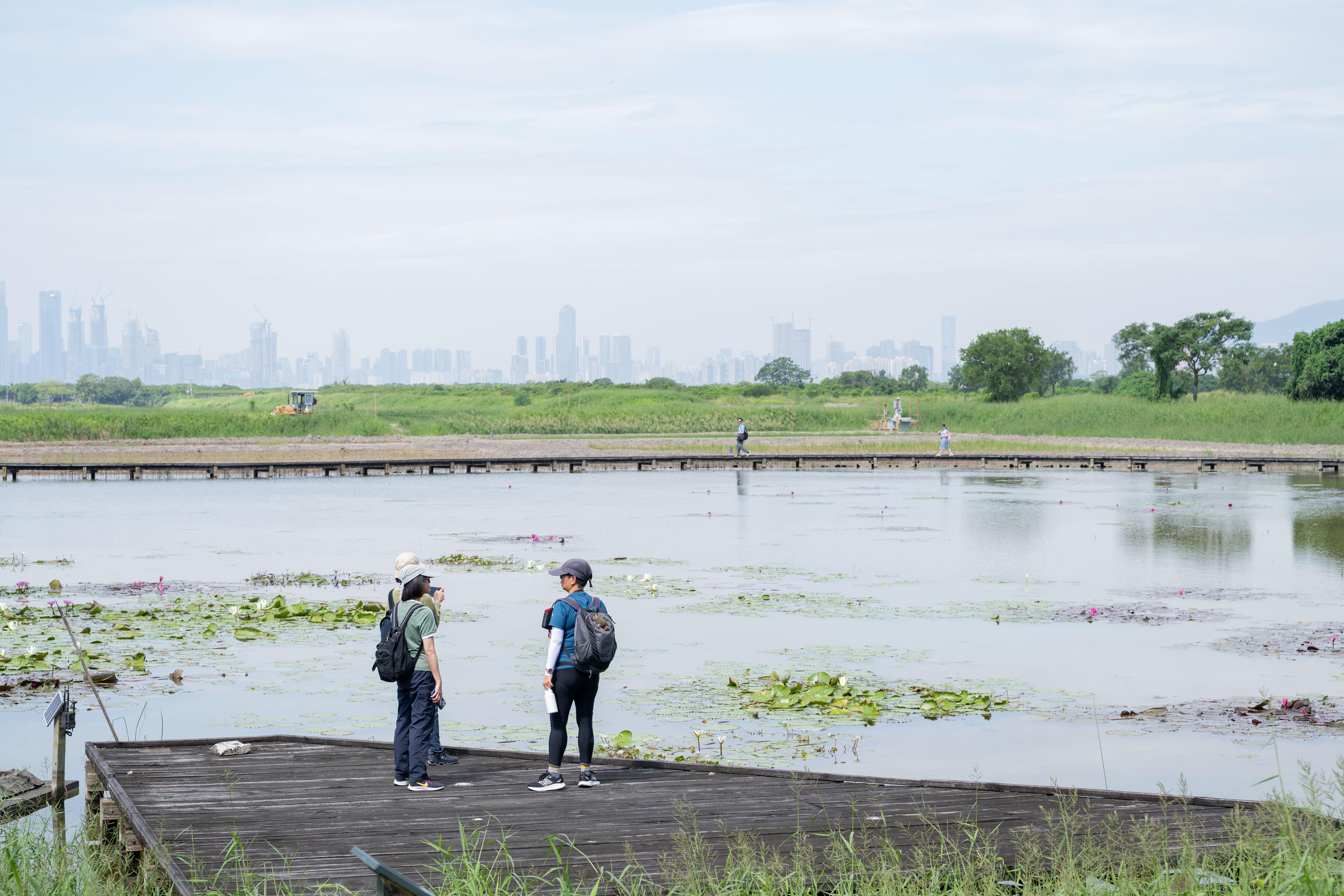香港賽馬會慈善信託基金 x 世界自然基金會《智慧濕地管理計劃》現正啟動 引入AI監測系統應對極端天氣