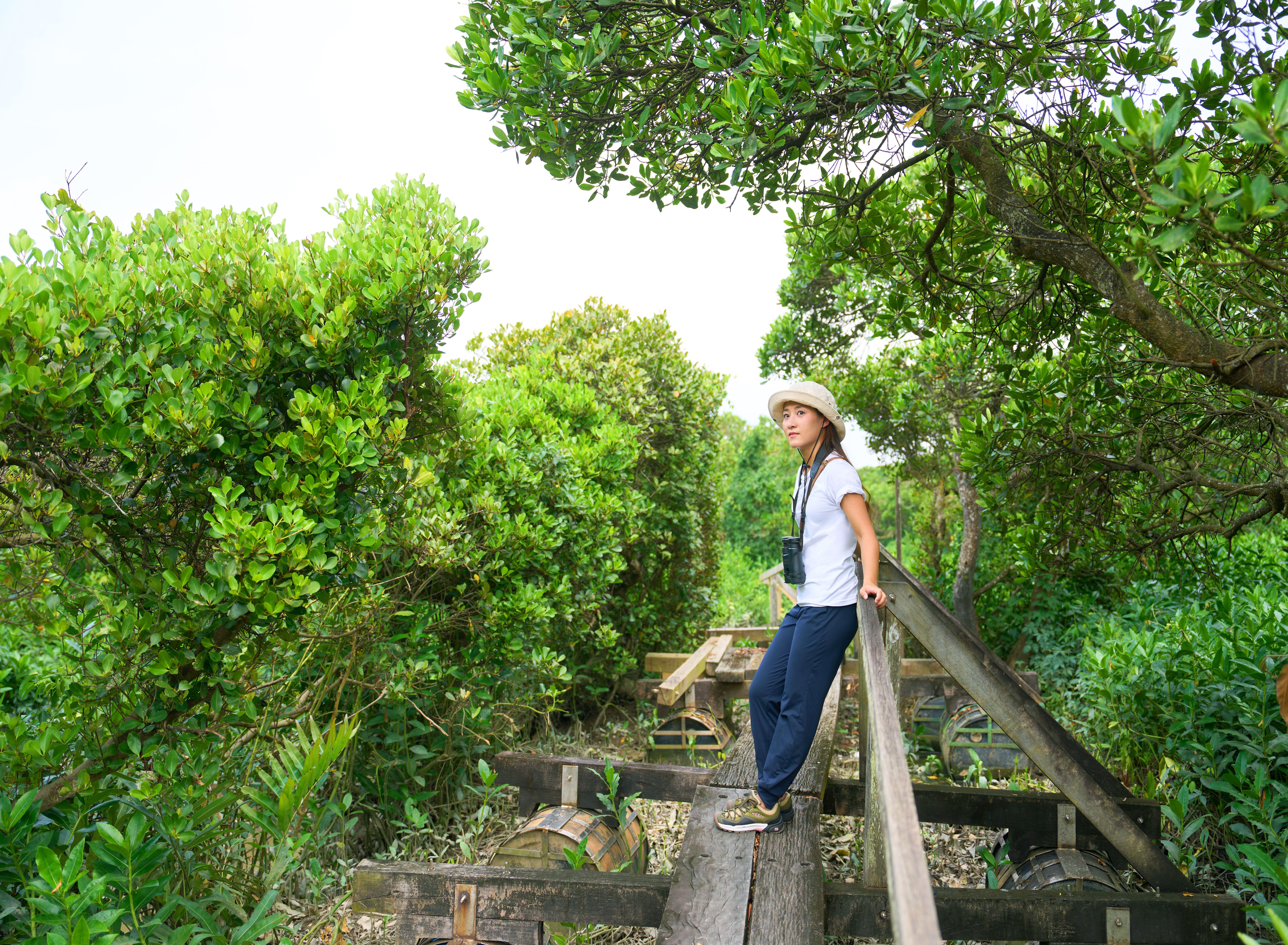 「浮橋導賞」讓參加者踏上潮間帶浮橋,近距離觀察紅樹林生態