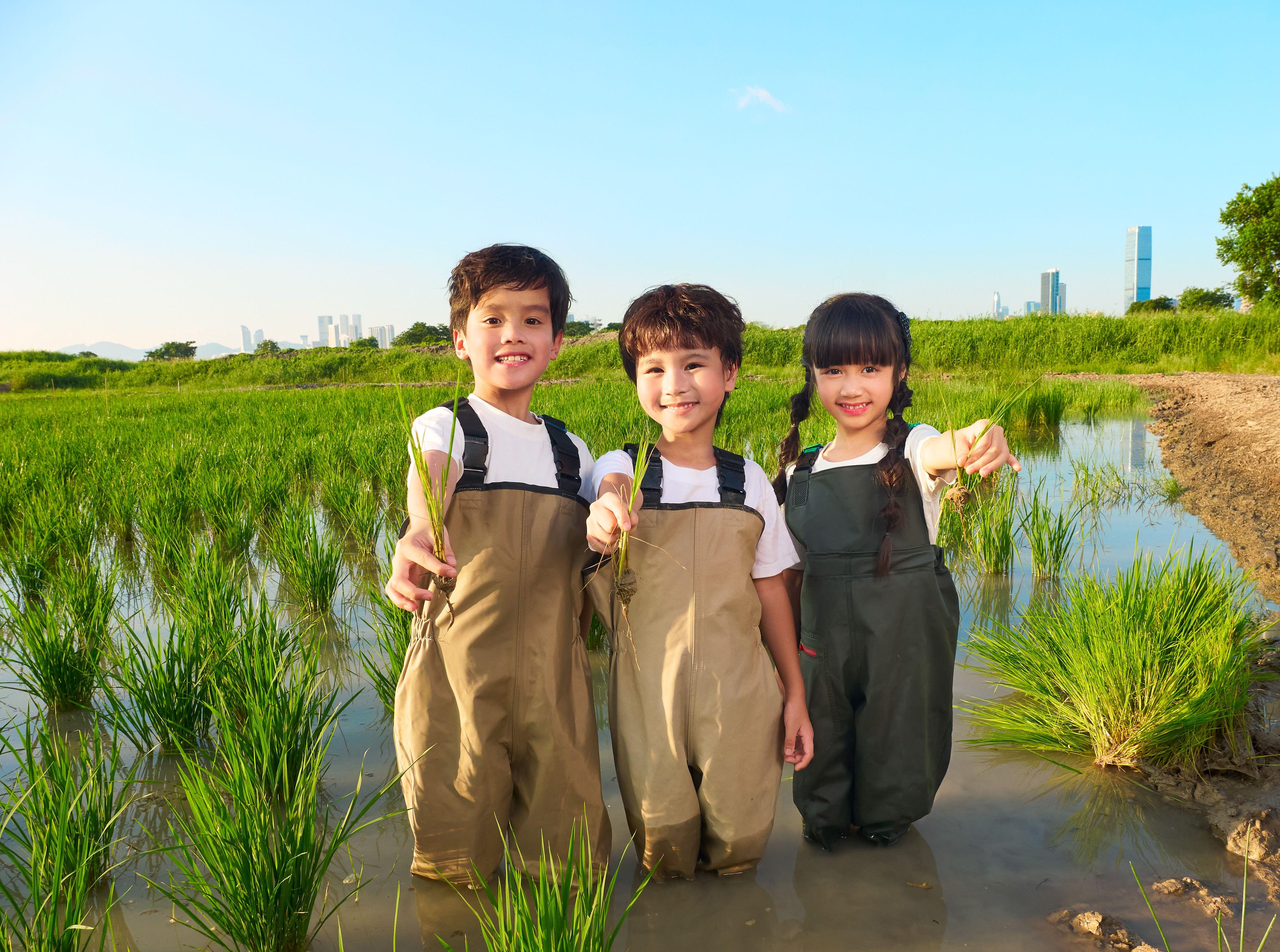 「水稻田導賞」則邀請大家穿上防水裝備,親身走入米埔稻田,了解種植與自然共存的挑戰與智慧。