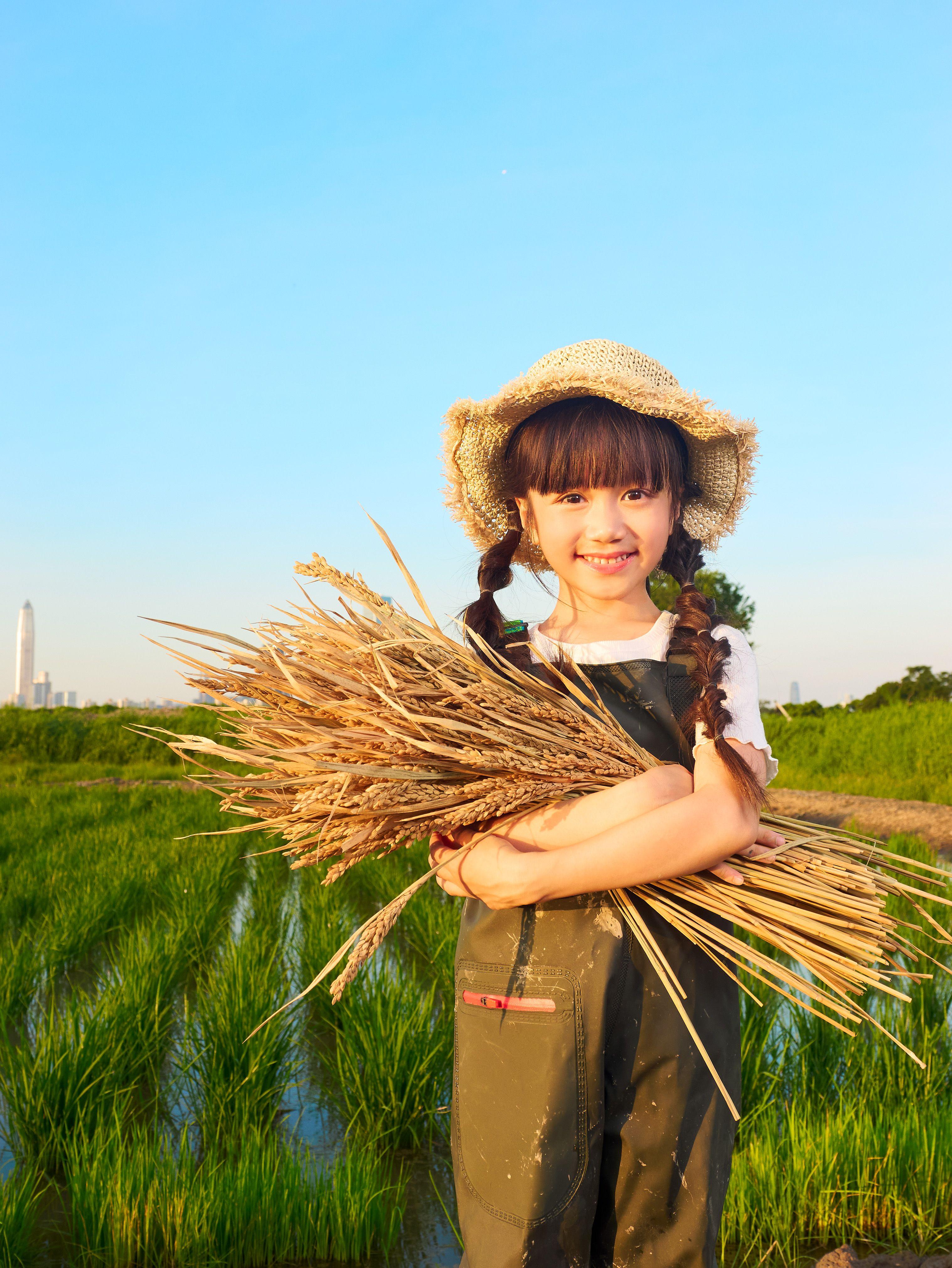 「水稻田導賞」則邀請大家穿上防水裝備,親身走入米埔稻田,了解種植與自然共存的挑戰與智慧。