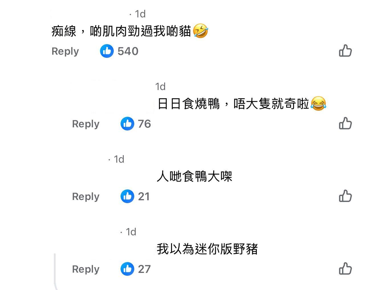 圖片來源:Facebook@香港乳豬乳鴿關注組