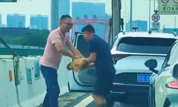 十一國慶|有人在塞車時捉雞。