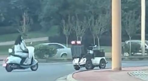 四川拉布拉多犬駕駛電動代步車速度不高,不斷被旁邊車輛超前。