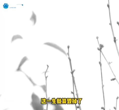 河南濮陽南先生(化名)得知兒子不是親生後,自言「這一生就算毀掉了」。