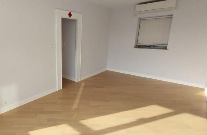 全屋裝修企理,採光度極高。(代理提供)