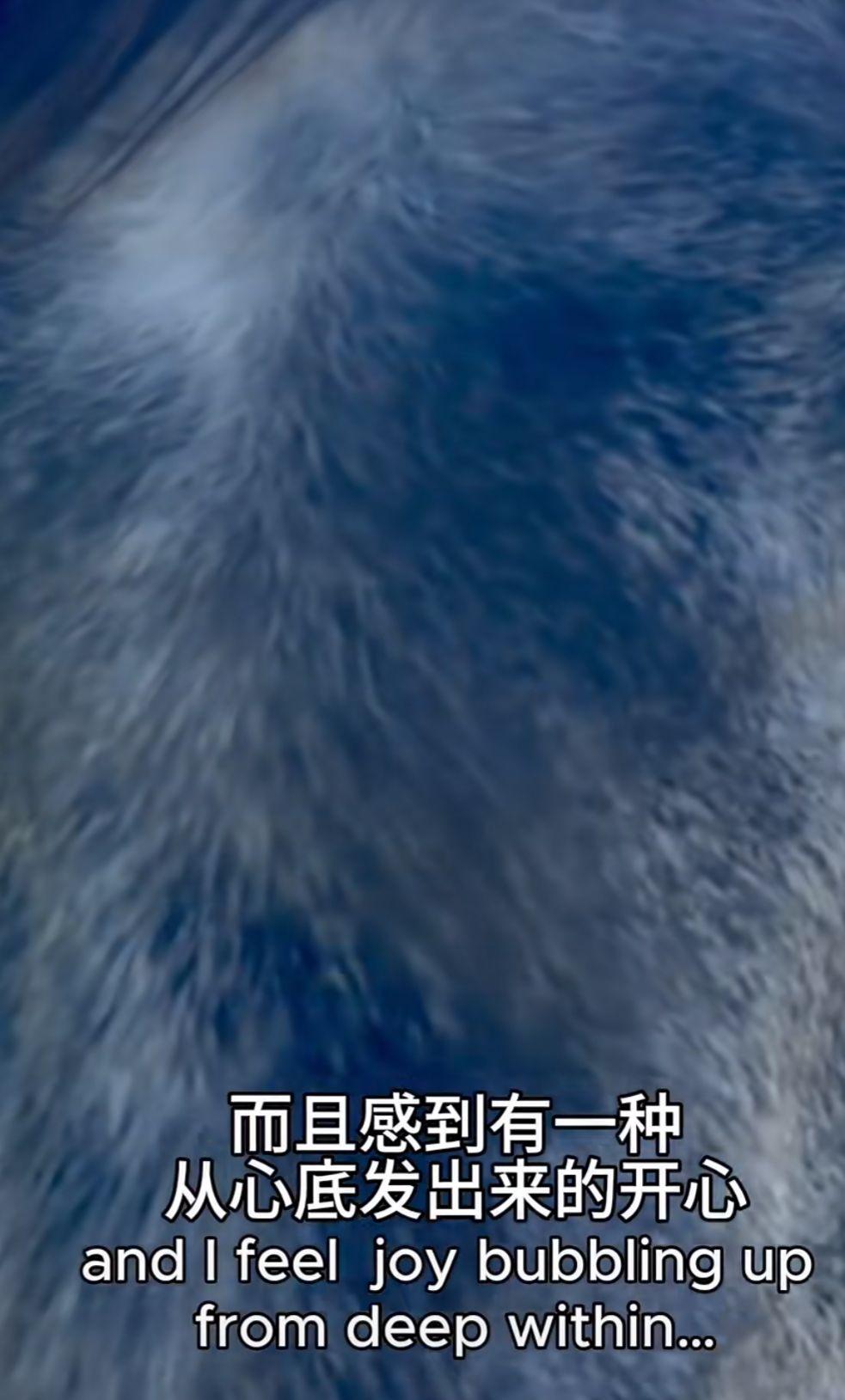 張曼玉分享去年四月拍攝的短片,在法國波爾多的大自然下體驗了幾天。